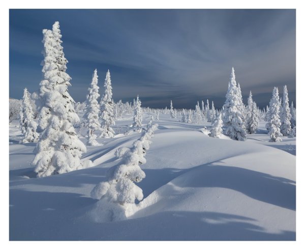 Чистый снег