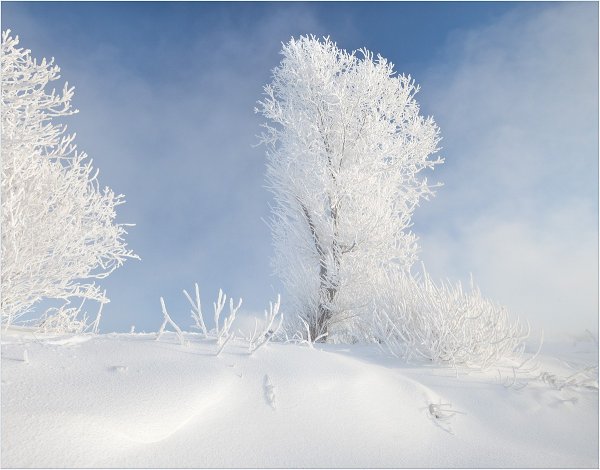 Вивальди времена года зима