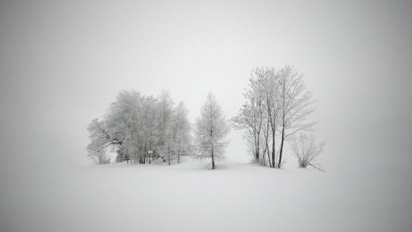 Заснеженный пейзаж