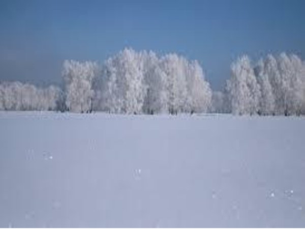 Белоснежный ковёр зимы