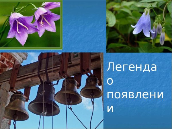 Колокольчик для слайда