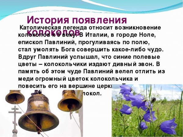 История колокольчиков