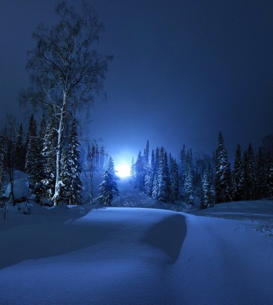 Ночь зимой