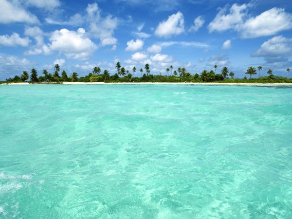 Парадиз остров Карибского моря