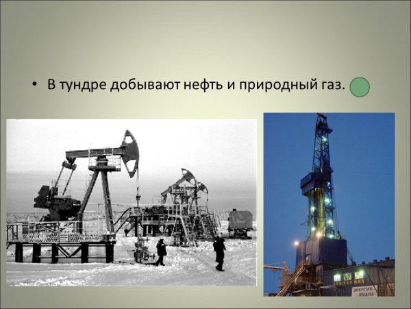 Добыча нефти в тундре