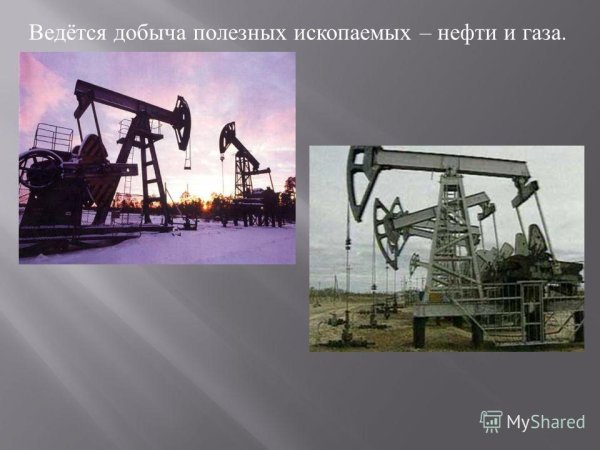 Полезные ископаемые нефть