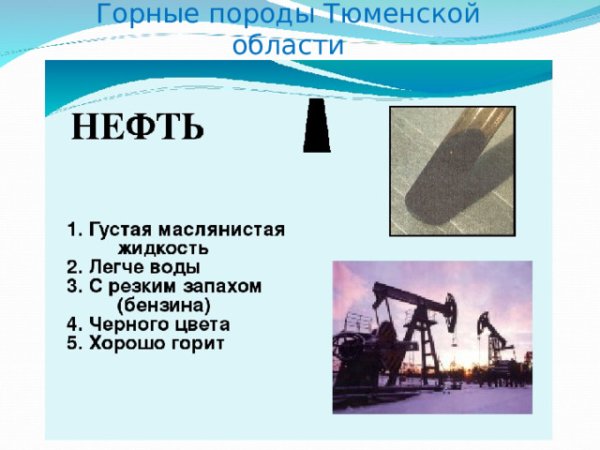 Полезные ископаемые нефть