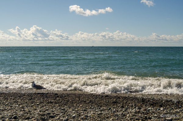 Черное море пляж Адлер