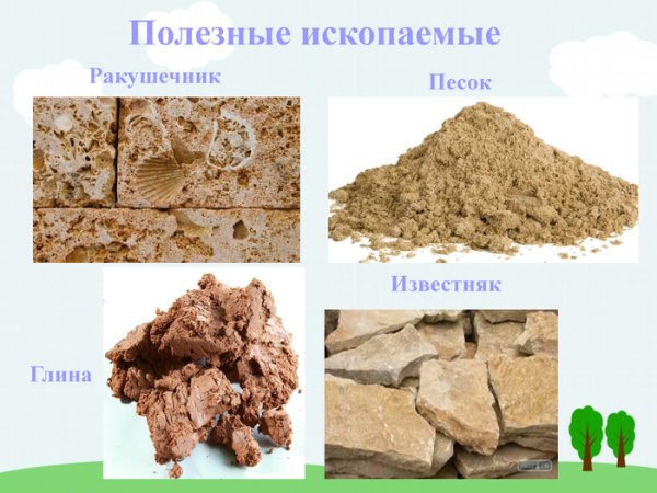 Полезные ископаемые ракушечник