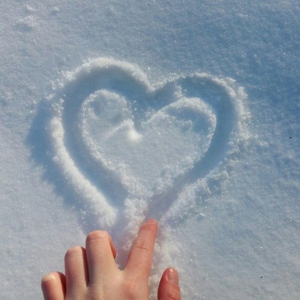 Сердце на снегу
