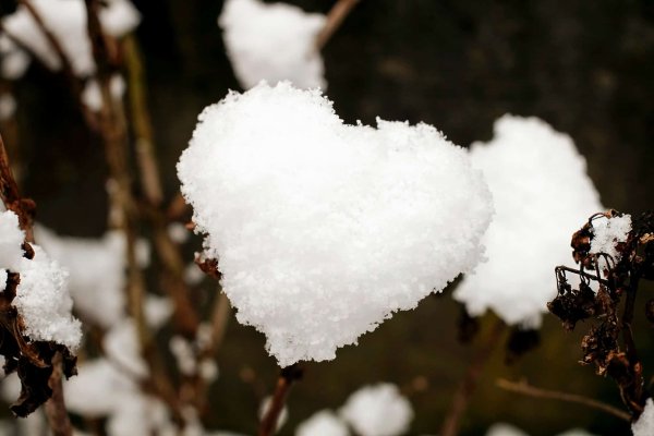 Сердце из снега