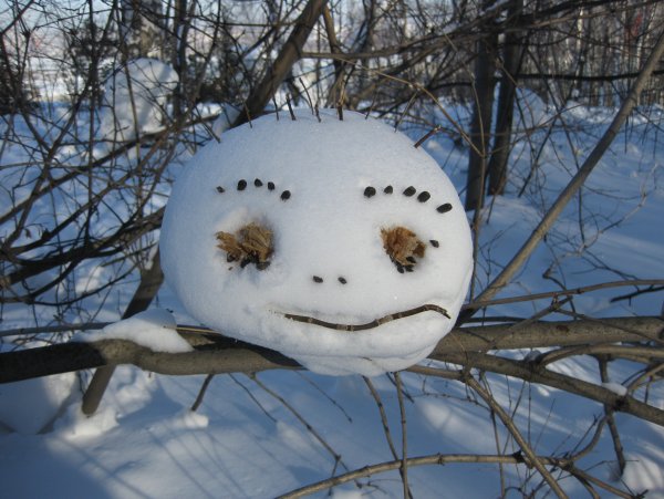 Колобок в зимнем лесу