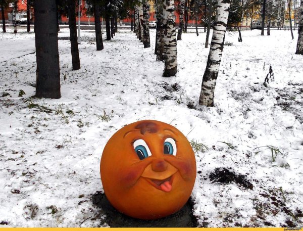 Колобок смешной