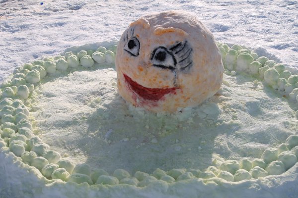 Морские животные из снега