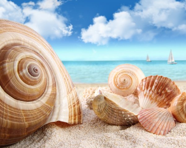 Красивый фон море