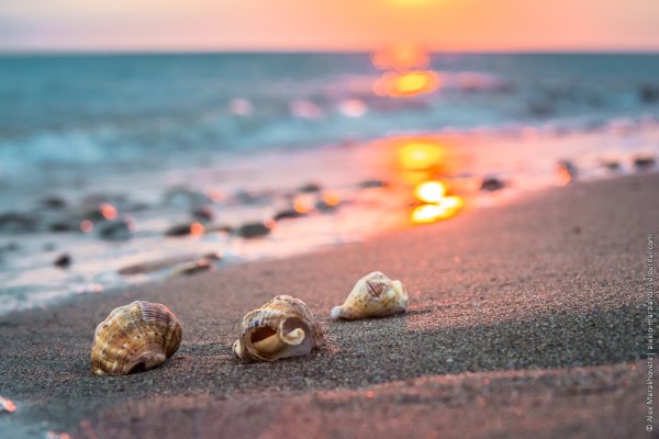 Черное море пляж