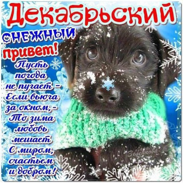Декабрьский привет открытки