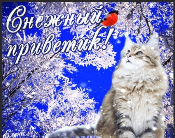 Доброго зимнего дня