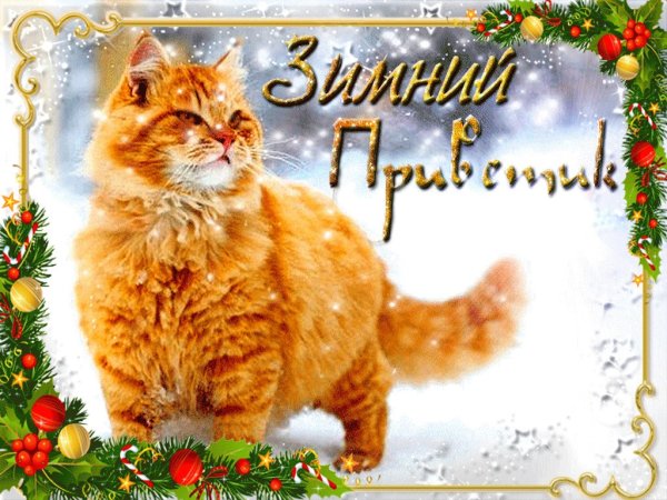 Красивые зимние приветы