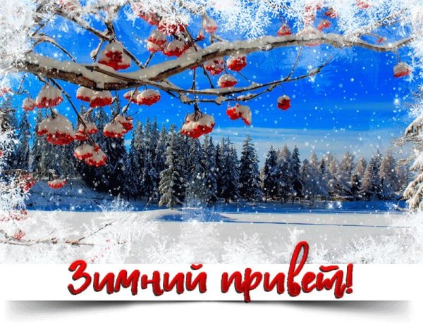 Открытки Зимушка зима