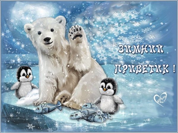 Привет с добрым зимним утром