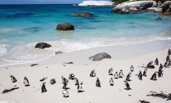 Болдерс Бич