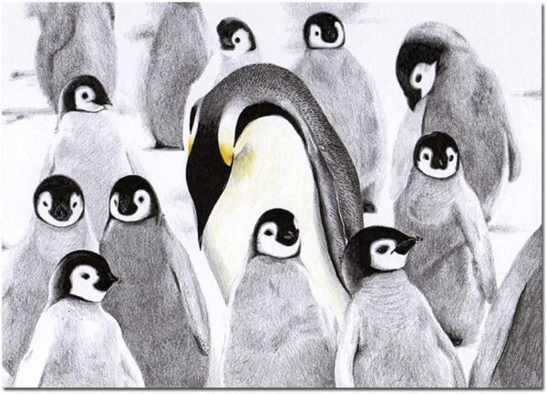 Пингвин иллюстрация