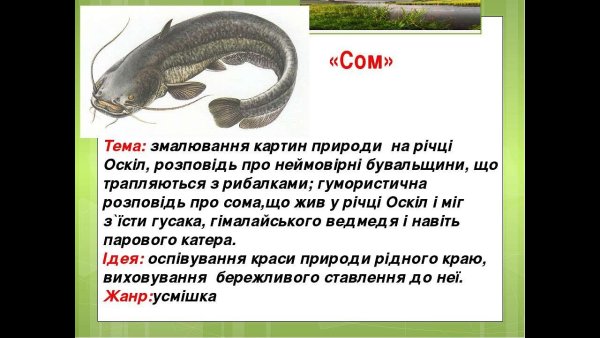 Рассказ про сома для детей