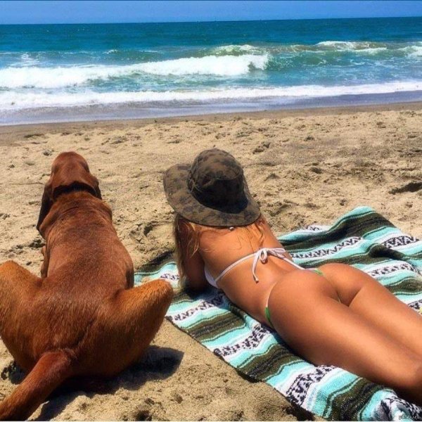 Смешные девушки на пляже