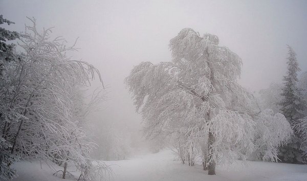 Зима метель