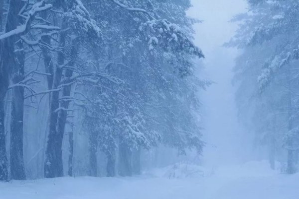 Метель зимой