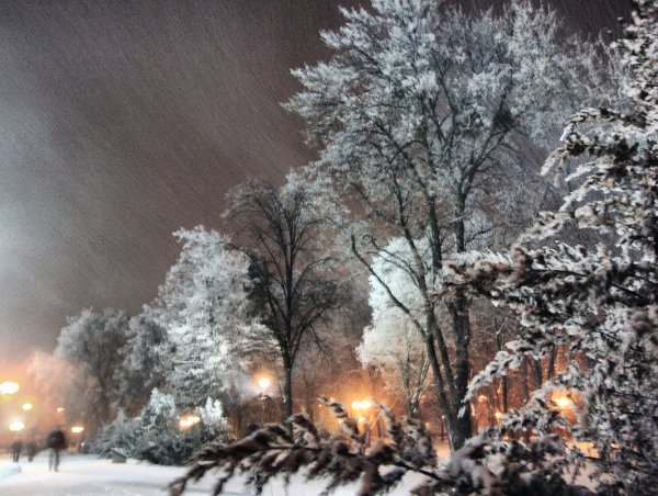 Пурга зимой