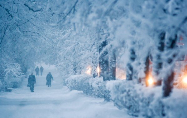 Зима метель