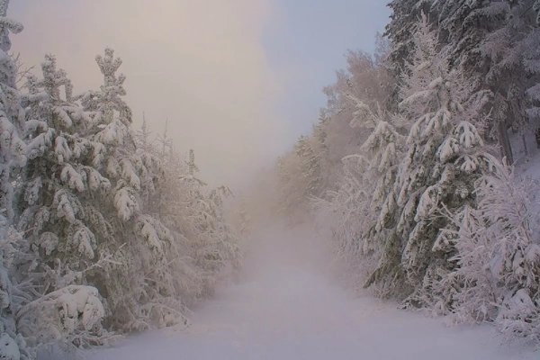 Снежная буря