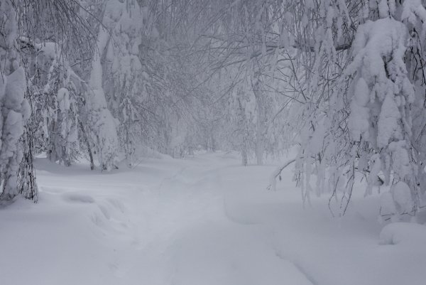 Февраль метель