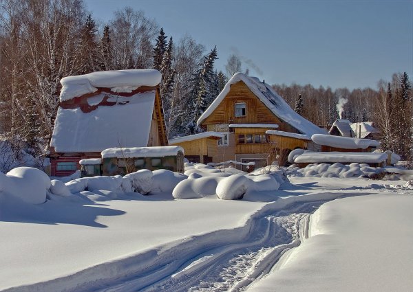 Зимний лес в деревне