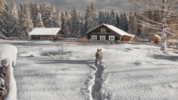 Деревня в снегу