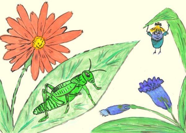 Мир глазами кузнечика окружающий мир 2