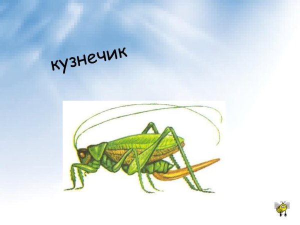 Кузнечик 1 класс