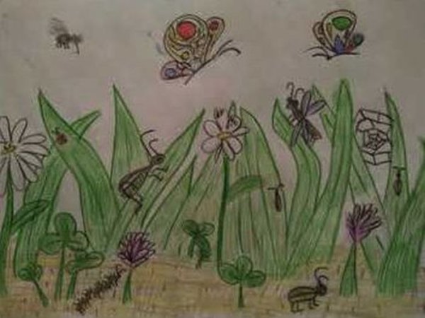 Мир глазами кузнечика