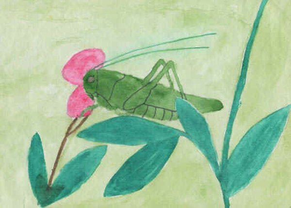 Мир глазами кузнечика рисунок