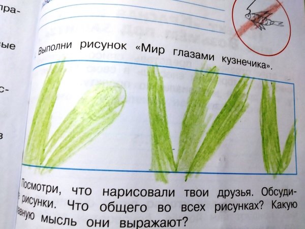 Мир глазами кузнечика