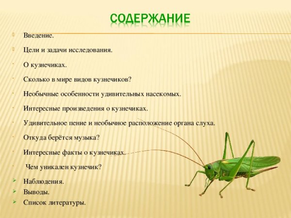 Интересные факты о Кузнечиках