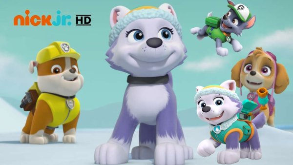 Скай Эверест гонщик Щенячий патруль