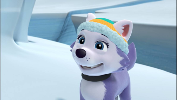 Щенячий патруль Джейк и Эверест