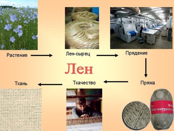Лён производство ткани