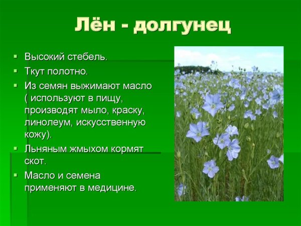Растениеводство лен-долгунец