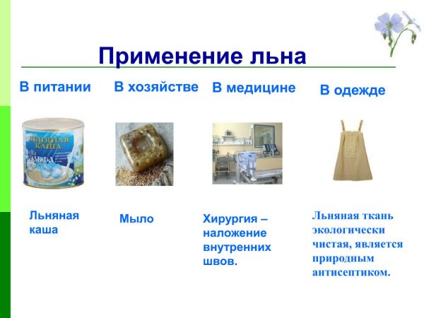 Применение льна