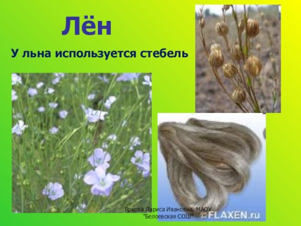 Лён как делают ткань