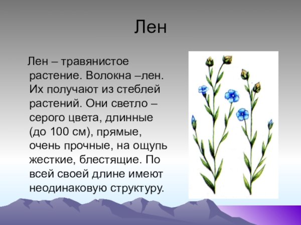 Информация про лен
